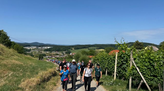Trinajstič na Pot Slakove in Pavčkove mladosti